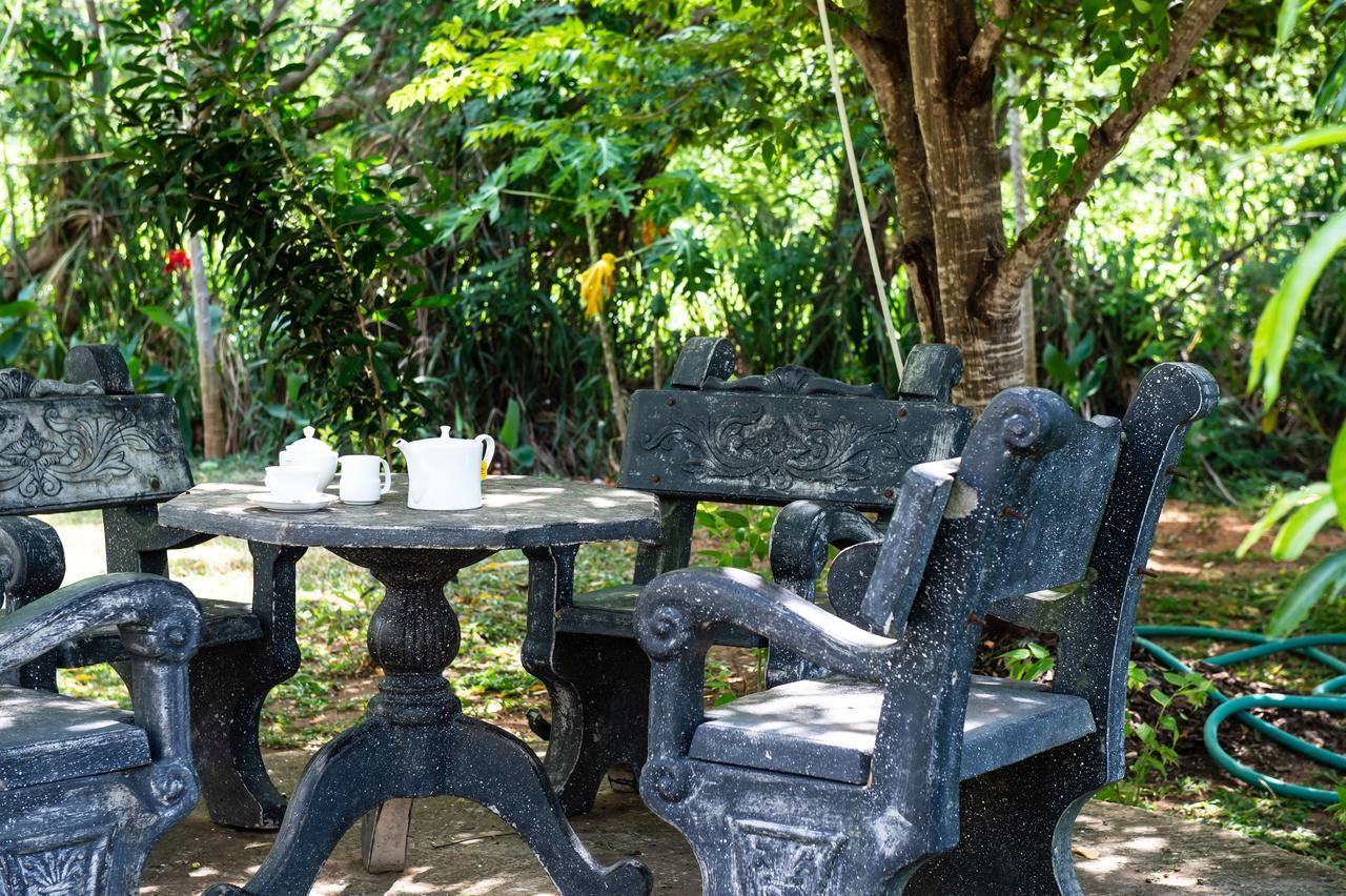 Sigiriya Sun Shine Villa Exterior photo